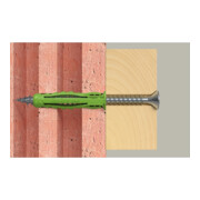 fischer plug SX Plus Green 5 x 25-4