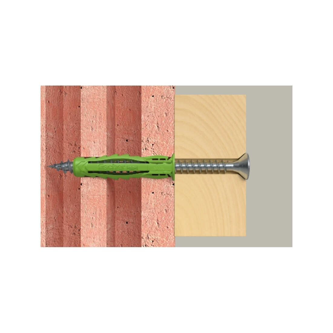 fischer plug SX Plus Green 5 x 25