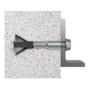 fischer Porenbetonanker FPX-I M6 K (2)-5