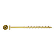 fischer Power-Fast Tellerkopf-Schraube TG mit Innensechsrund (TX)