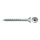 fischer Power-Fast II 4,0x30 SK blvz TG TX 50