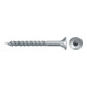 fischer Power-Fast II 4,0x30 SK blvz TG TX 50