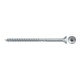 fischer Power-Fast II 4,0x60 SK blvz TG TX 50