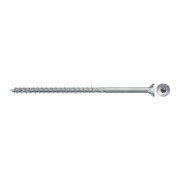 fischer Power-Fast II 5,0x100 SK blvz TG TX25 10-2