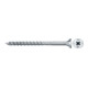 fischer Power-Fast II 5,0x60 SK blvz TG PZ 100