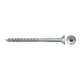 fischer Power-Fast II 5,0x80 SK blvz TG TX25 200