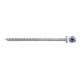 fischer Power-Fast II 6,0x100 PH blvz TG TX 25