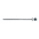 fischer Power-Fast II 6,0x100 PH blvz TG TX 25