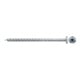 fischer Power-Fast II 6,0x100 PH blvz TG TX 25