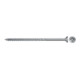 fischer Power-Fast II 6,0x100 SK blvz TG PZ 25