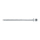 fischer Power-Fast II 6,0x100 SK blvz TG TX 50