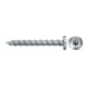 fischer Power-Fast II 6,0x40 PH blvz VG TX 100