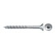 fischer Power-Fast II 6,0x40 SK blvz TG TX 200