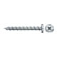 fischer Power-Fast II 6,0x50 PH blvz VG PZ 100