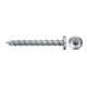fischer Power-Fast II 6,0x50 PH blvz VG TX 50