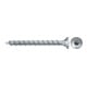 fischer Power-Fast II 6,0x50 SK blvz VG TX 100