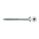 fischer Power-Fast II 6,0x60 SK blvz TG PZ 30