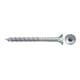 fischer Power-Fast II 6,0x80 SK blvz TG TX 100