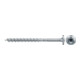 fischer PowerFast II 5,0x50 TK TX25 TG blvz 200
