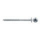 fischer PowerFast II 5,0x80 TK TX25 TG blvz 200-1