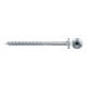fischer PowerFast II 5,0x80 TK TX25 TG blvz 200-2