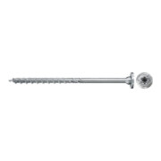 fischer PowerFast II 6,0x100 SSK TX TG blvz 100-4