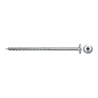 fischer PowerFast II 6,0x100 TK TX TG blvz 100