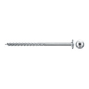 fischer PowerFast II 6,0x100 TK TX TG blvz 100