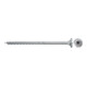 fischer PowerFast II 6,0x80 SSK TX TG blvz 100