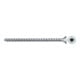 fischer PowerFull II 10,0x100 SK TX VG blvz 50