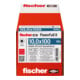 fischer PowerFull II 10,0x100 SK TX VG blvz 50
