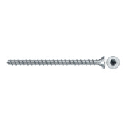 fischer PowerFull II 10,0x100 SK TX VG blvz 50-5