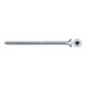 fischer PowerFull II 10,0x180 SK TX VG blvz 50