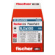 fischer PowerFull II 6,0x100 ZK TX VG blvz 100