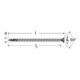 fischer PowerFull II 8,0x240 SK TX VG blvz 50
