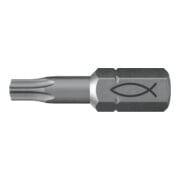 fischer Profi Bit FPB T 10-1