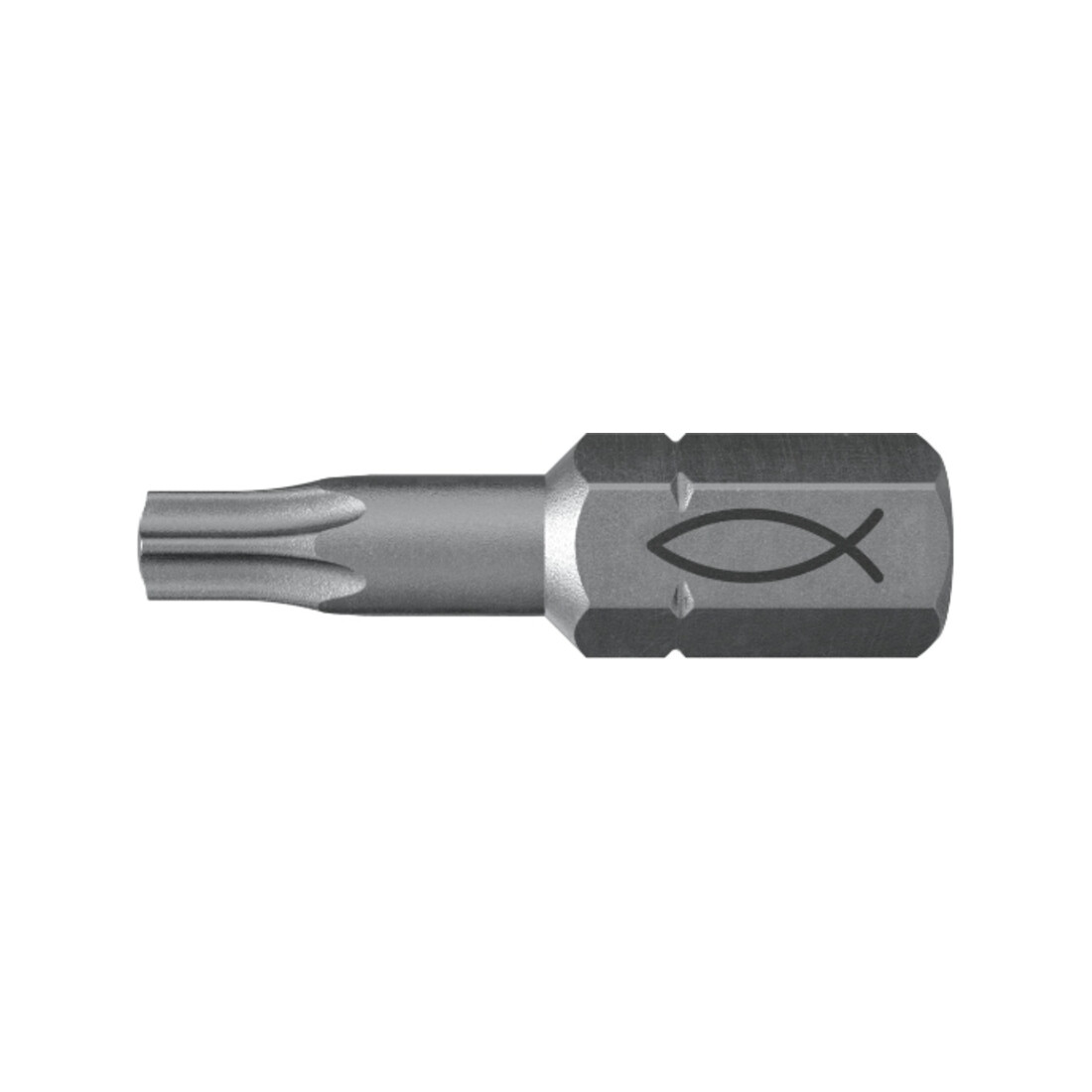 fischer Profi Bit FPB T 20