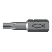 fischer Profi Bit FPB T 20-4