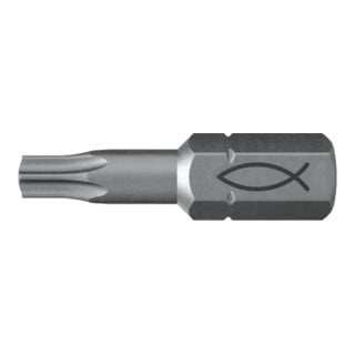 fischer Profi Bit FPB T 25