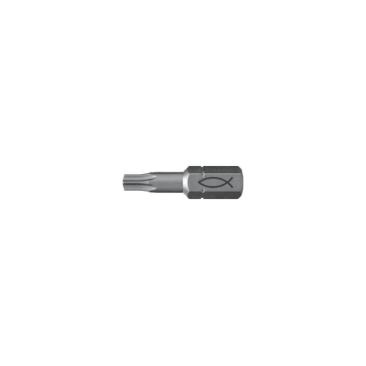fischer Profi Bit FPB T 25