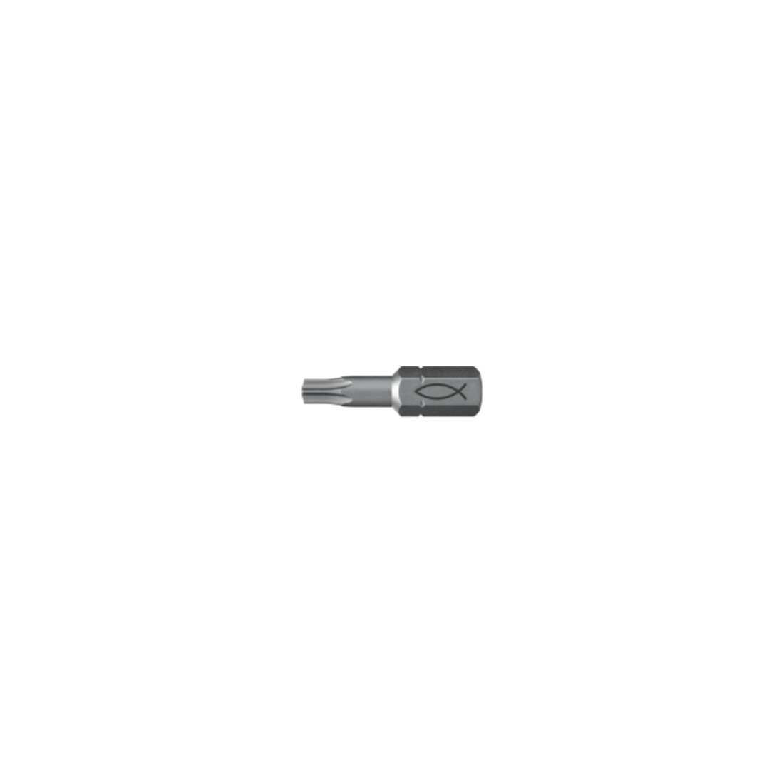 fischer Profi Bit FPB T 25