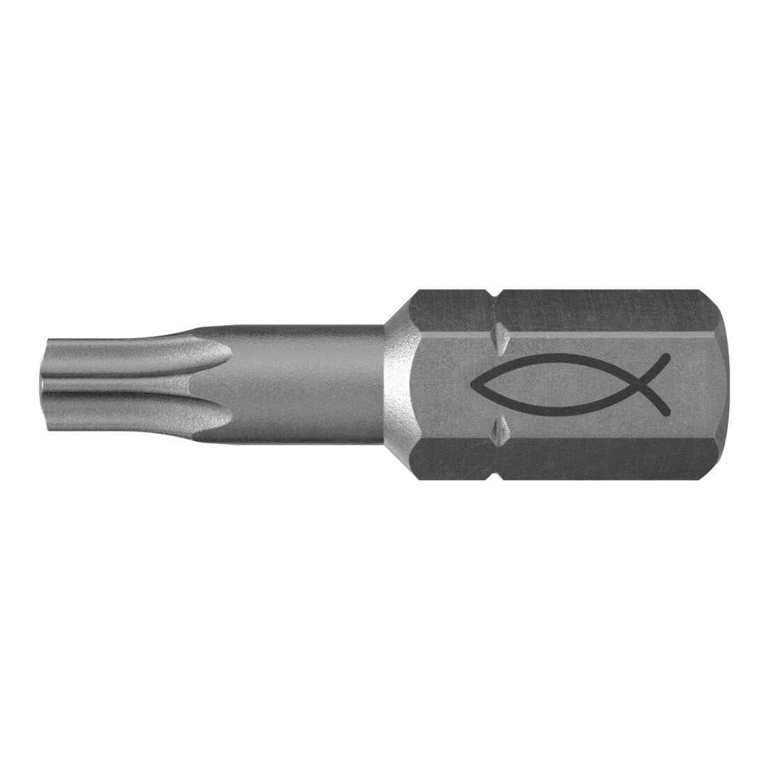 fischer Profi Bit FPB T 25