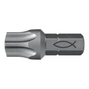 fischer Profi Bit FPB T 50-3