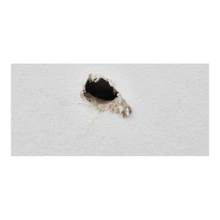 fischer Récupérateur de trous de perçage (10) NTJH