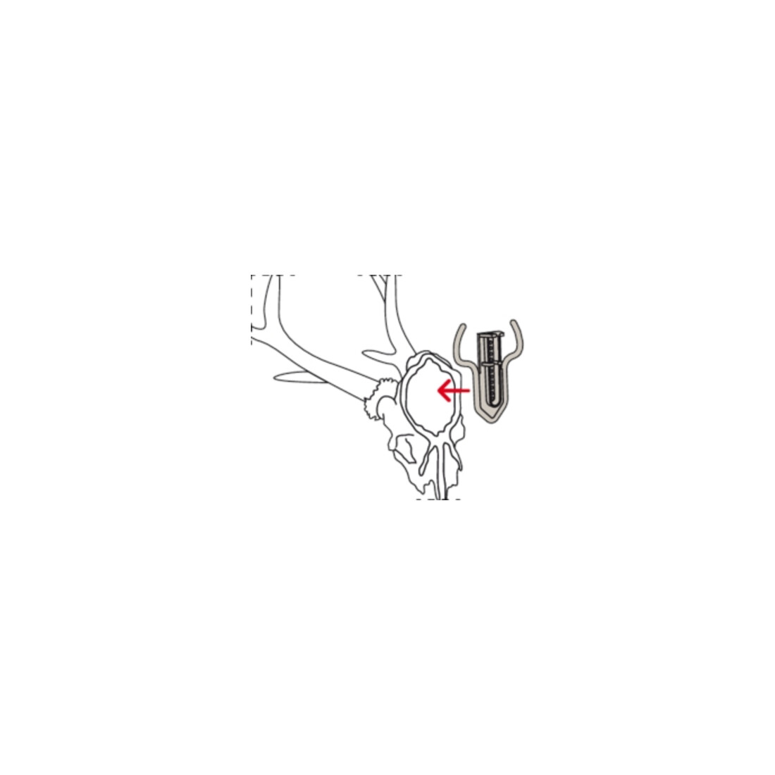 fischer Rohrschellen-Set UX / STST / FGRS 31-37
