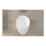 fischer Sanitär-Befestigung WDP 10x170-2