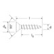 fischer Scharnierbandschraube 3,0x25 Senkk.blvz VG PZ-5