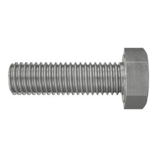 fischer Sechskantschraube SKS 10x30 A4