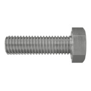 fischer Sechskantschraube SKS 10x30 A4-4