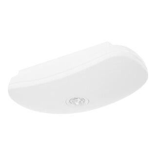 FiSCHER Sicherheitsleuchte BSU315M LED 3h opt.Mesh/NB Add.on